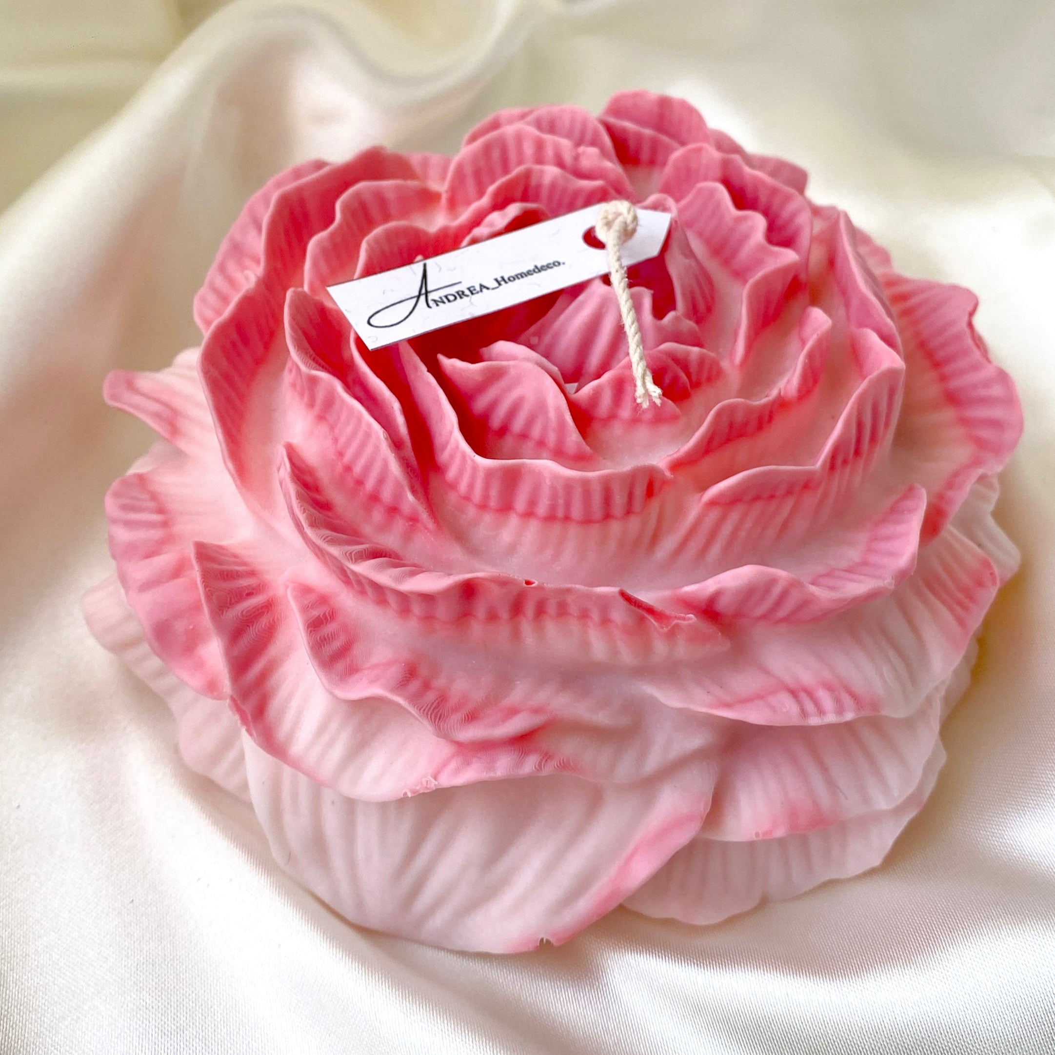 Gardenia Magna