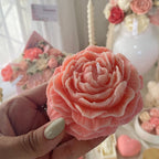Flor Gardenia