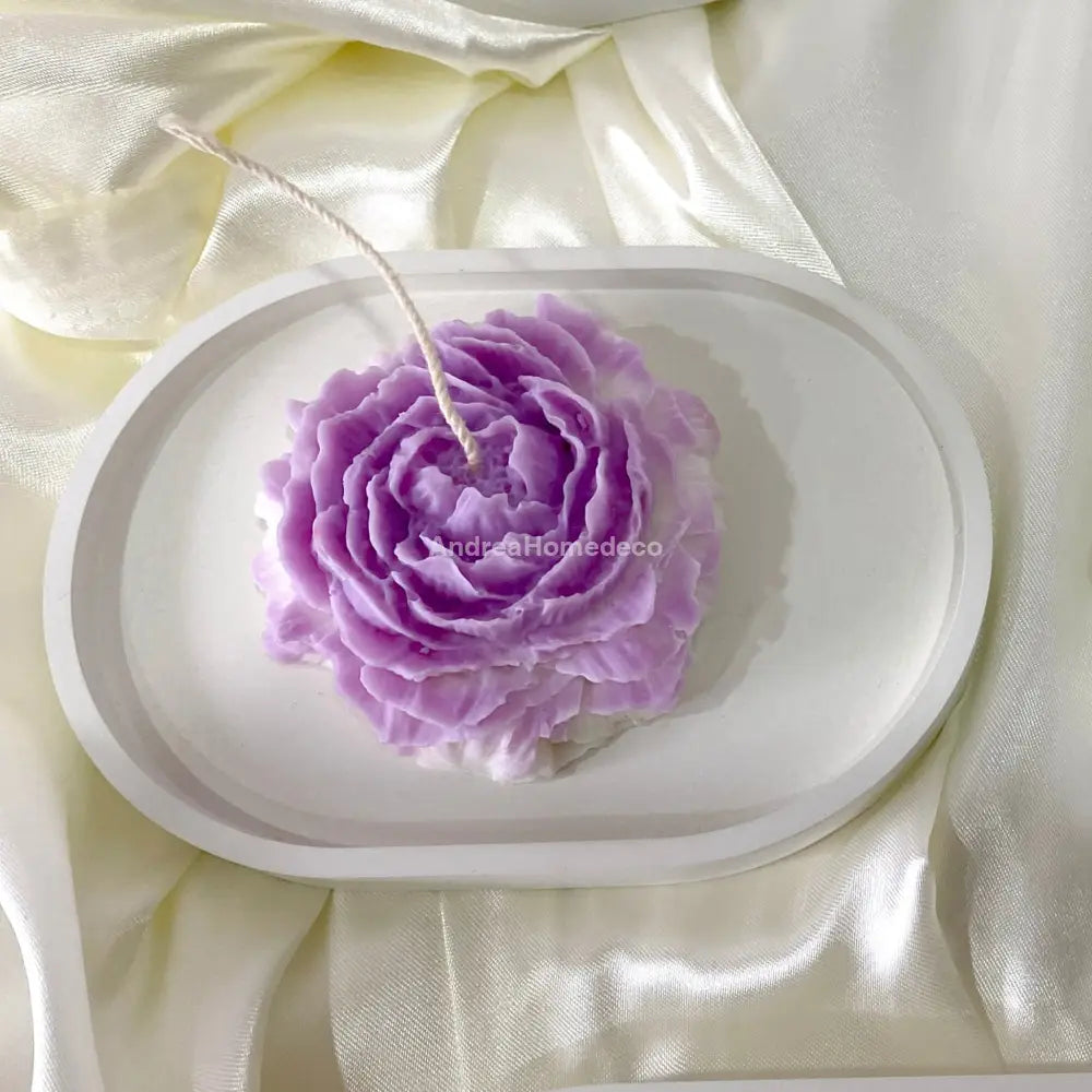 Base Serena Pequeña